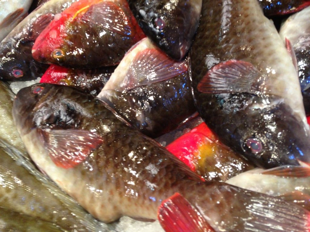 Featured Image 10017