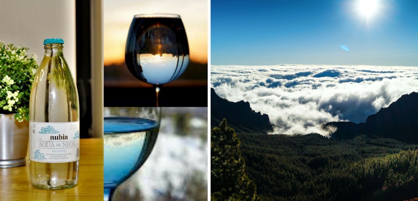 Featured Image 10285