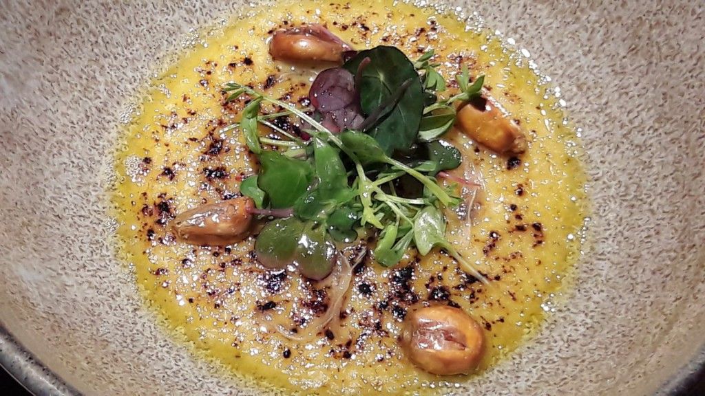 Featured Image 10563