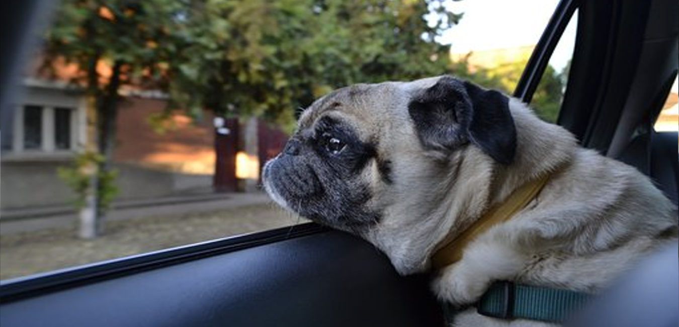 Featured Image 11133