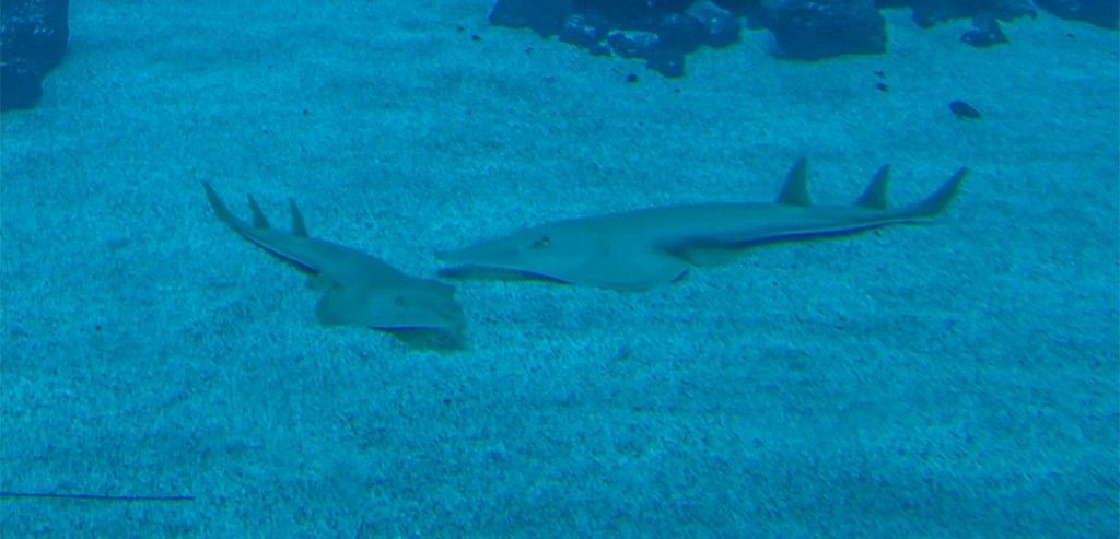 Featured Image 11185