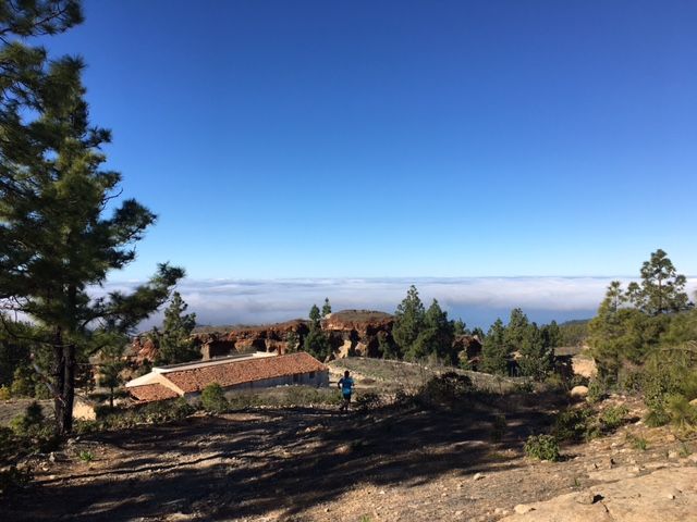 Featured Image 11429