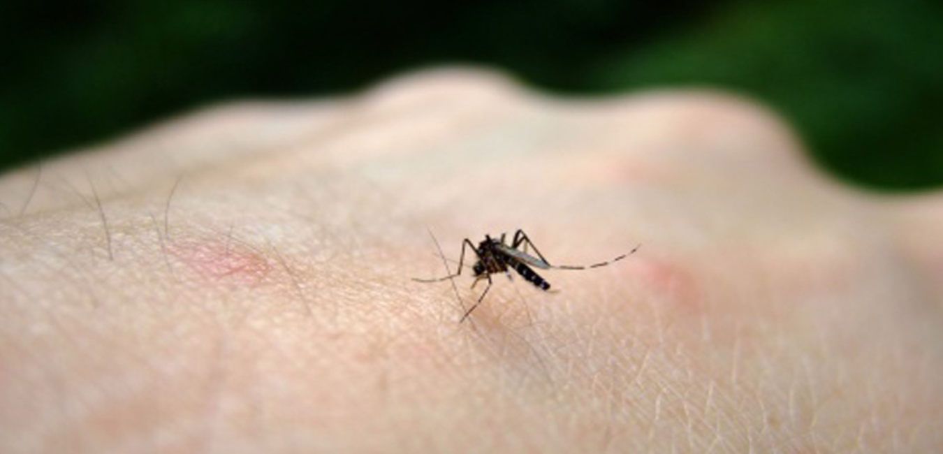 Featured Image 11569