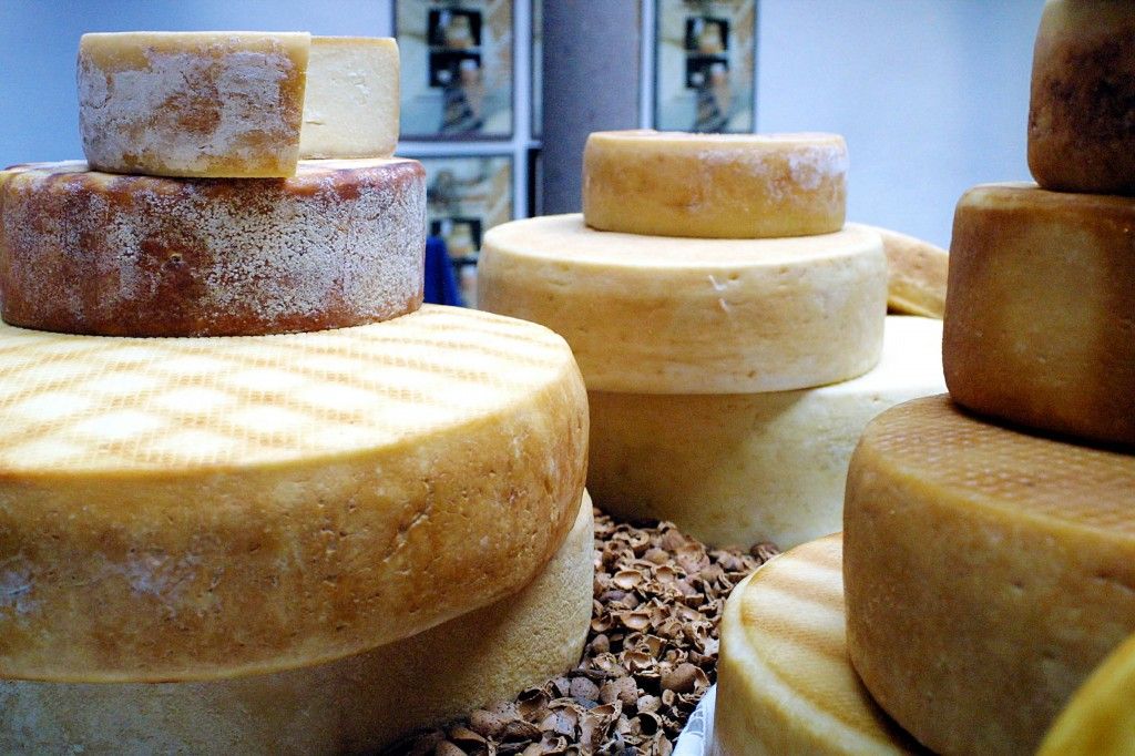 Featured Image 11587