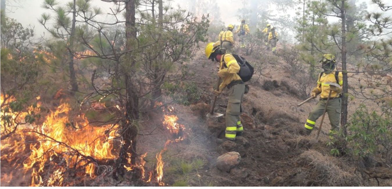 Featured Image 11799