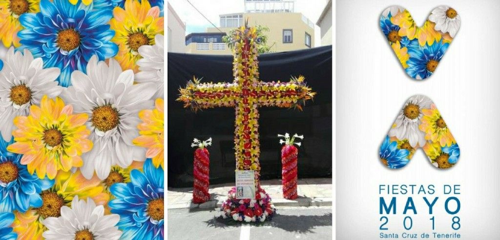 Featured Image 12261