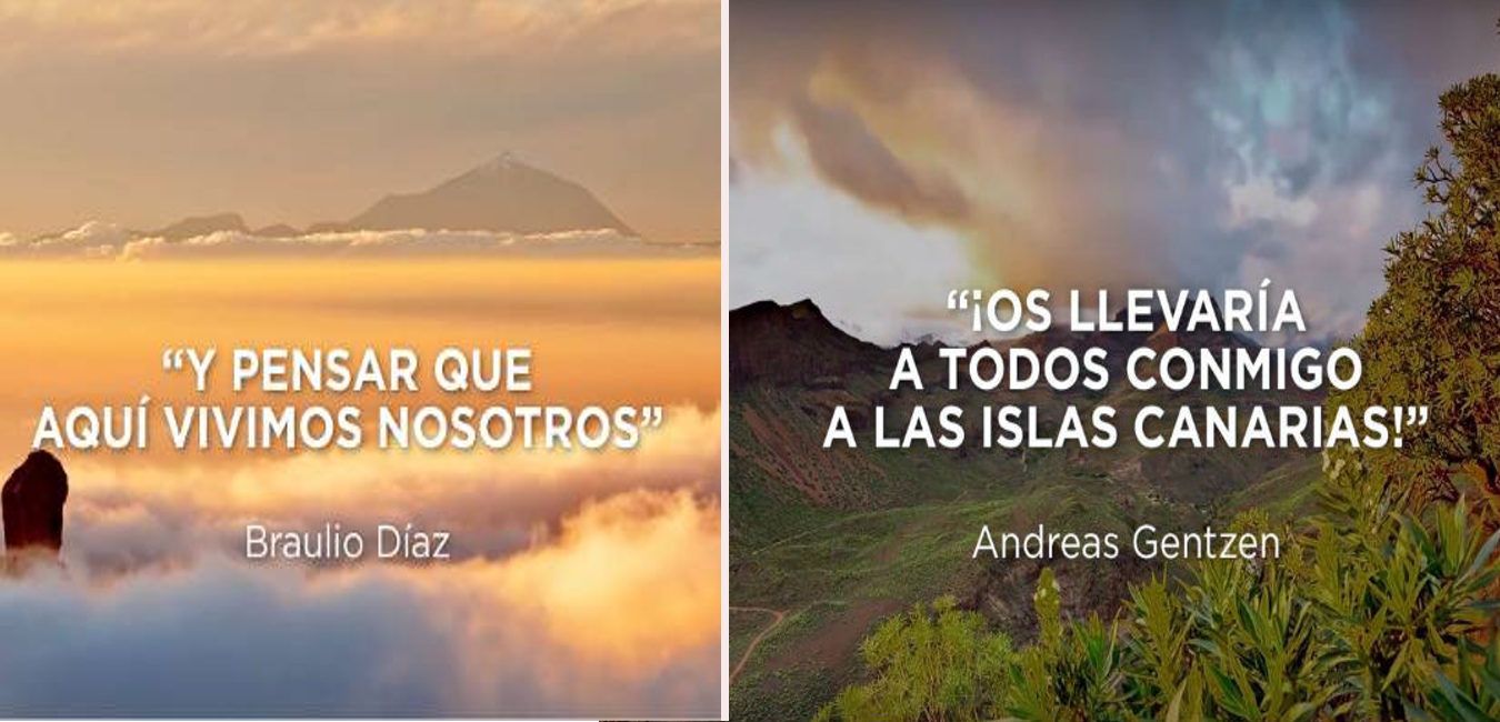 Featured Image 12421