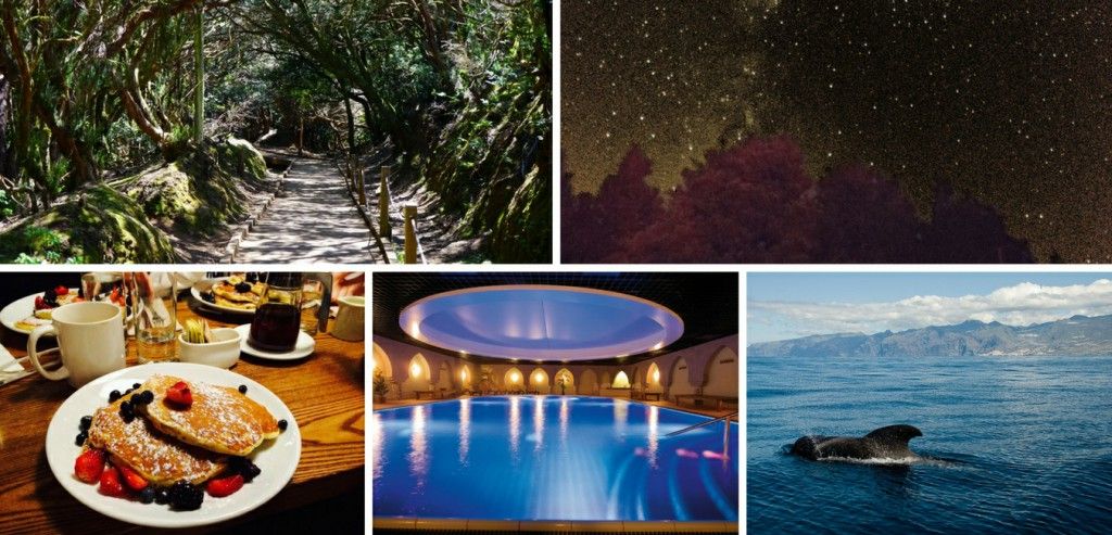 Featured Image 12493