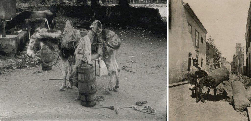 Featured Image 12613