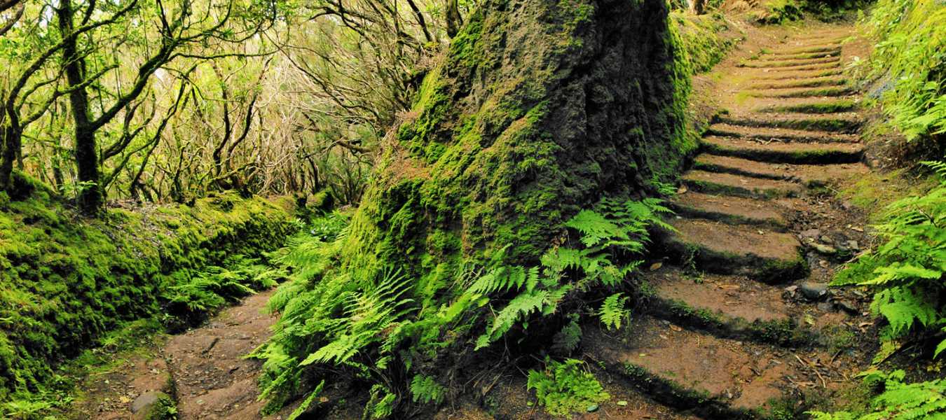 Featured Image 12779