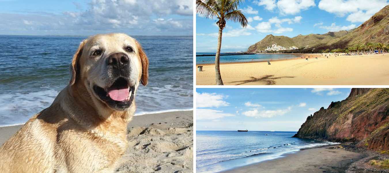 Featured Image 12885