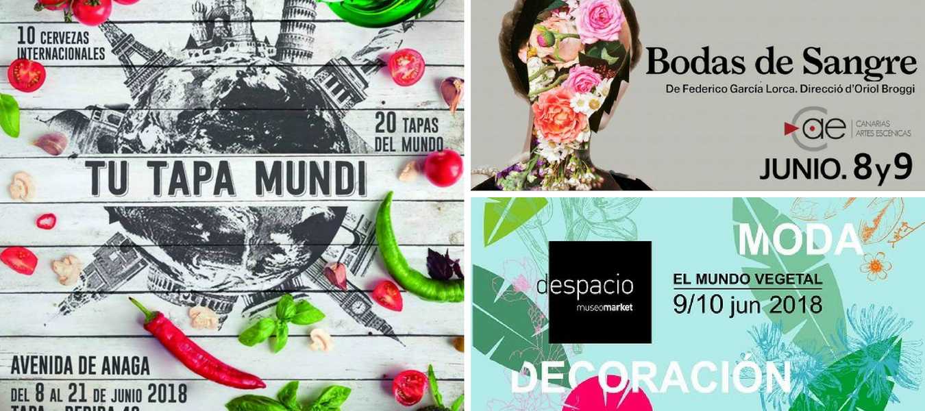 Featured Image 13599