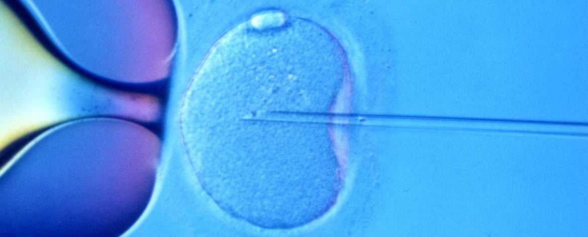 Featured Image 13757