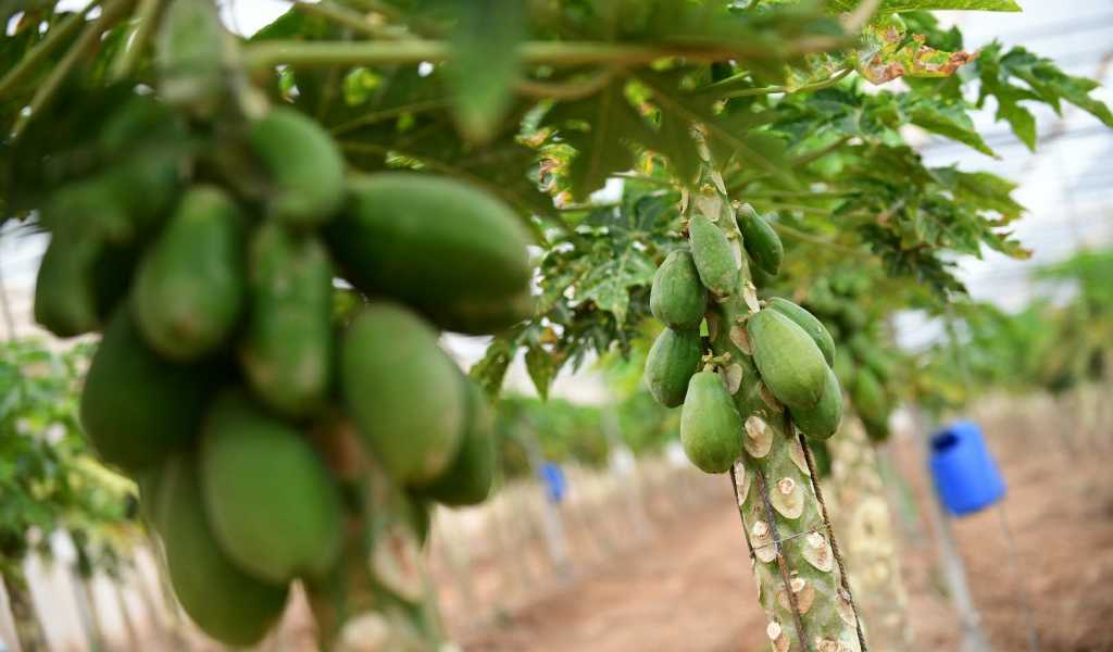 Featured Image 13787