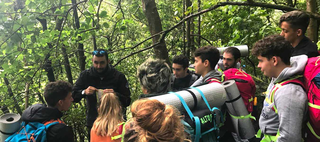 Featured Image 13871