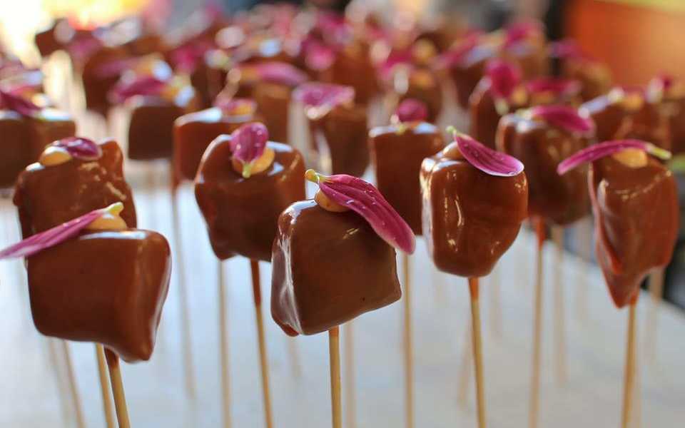 Featured Image 13949