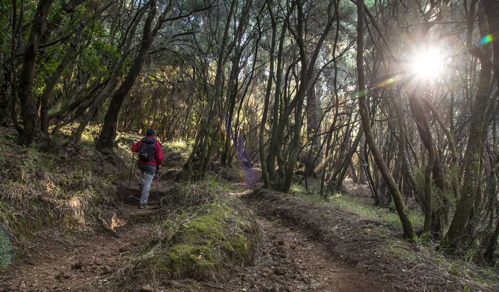 Featured Image 14035