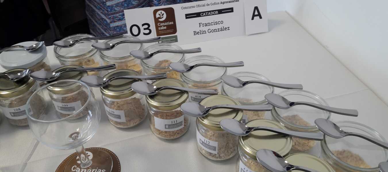 Featured Image 14209