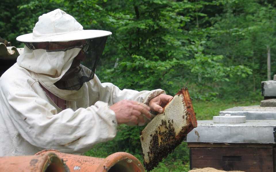 Featured Image 14437