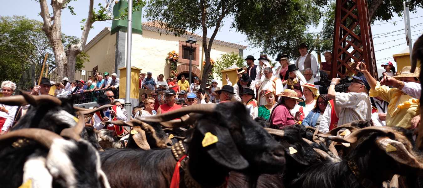 Featured Image 14545