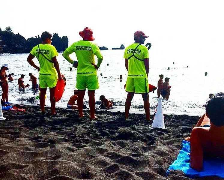 Featured Image 14793