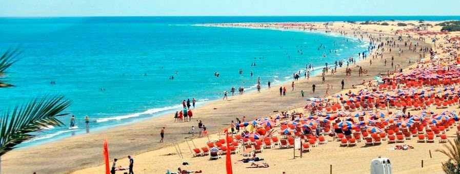 Featured Image 14803