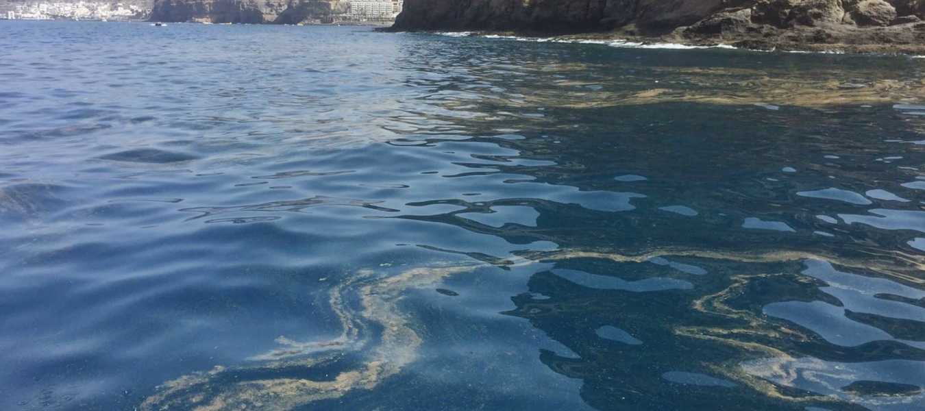 Featured Image 14847