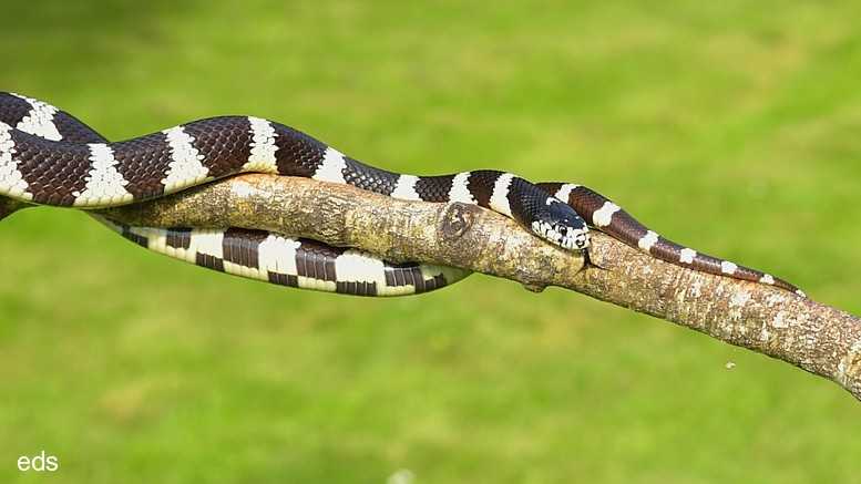 Featured Image 14991