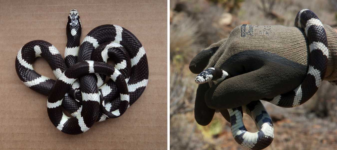 Featured Image 15147