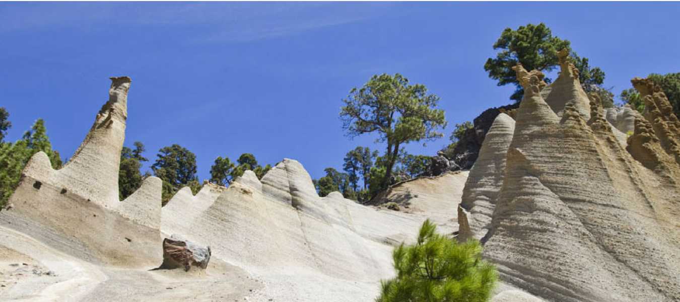 Featured Image 15279