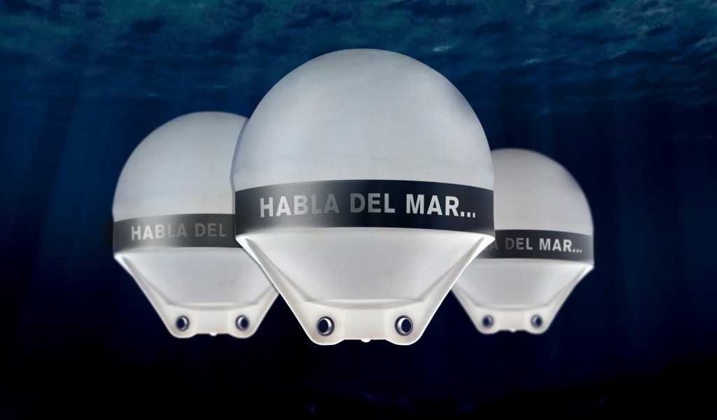 Featured Image 15335