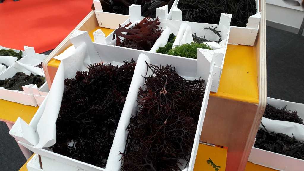 Featured Image 15473