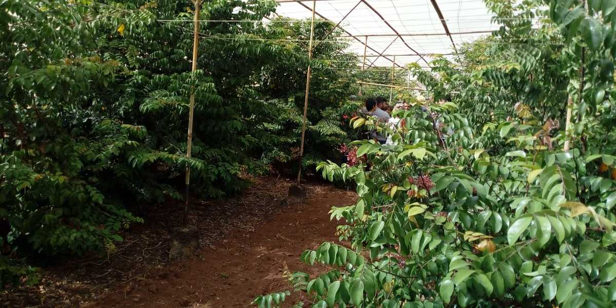 Featured Image 15479