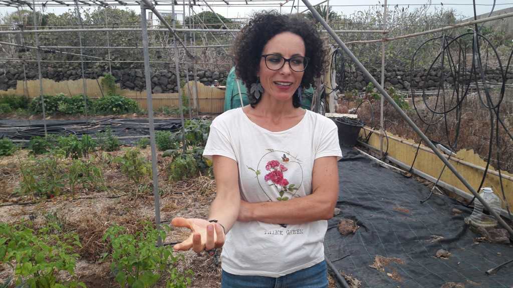 Featured Image 15699