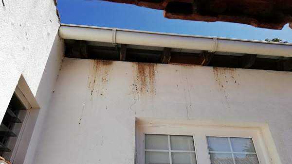 Featured Image 15841