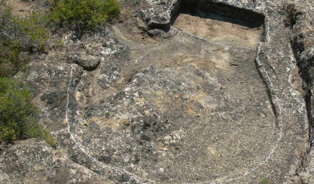 Featured Image 15985