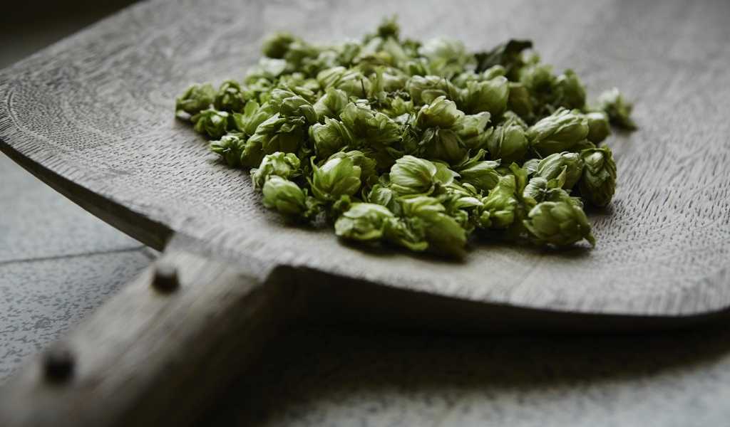 Featured Image 16025