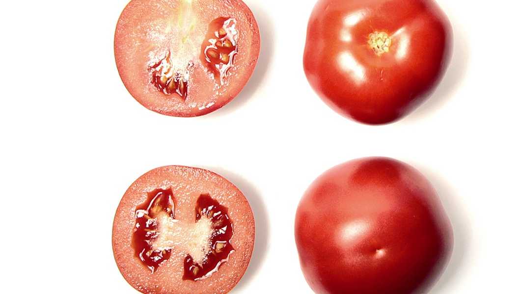 Featured Image 16601