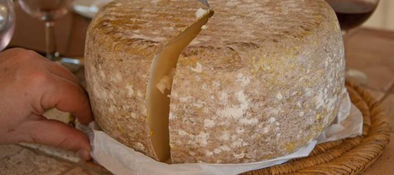 Featured Image 17087