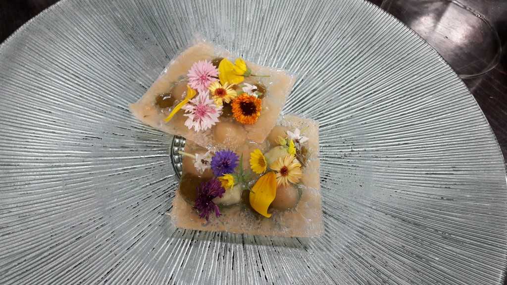 Featured Image 17157