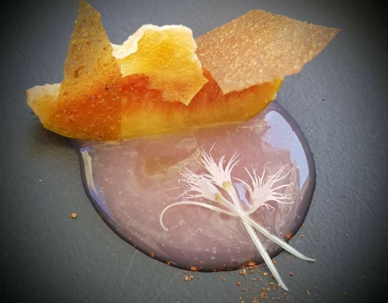 Featured Image 17319