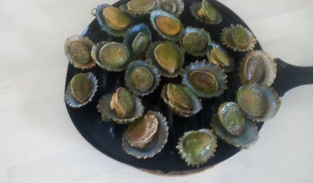 Featured Image 17423