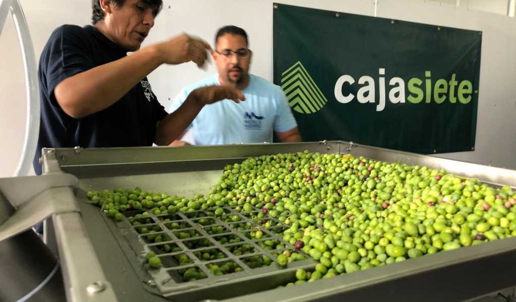 Featured Image 17643