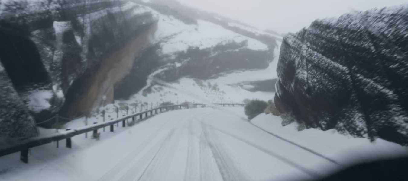 Featured Image 19177