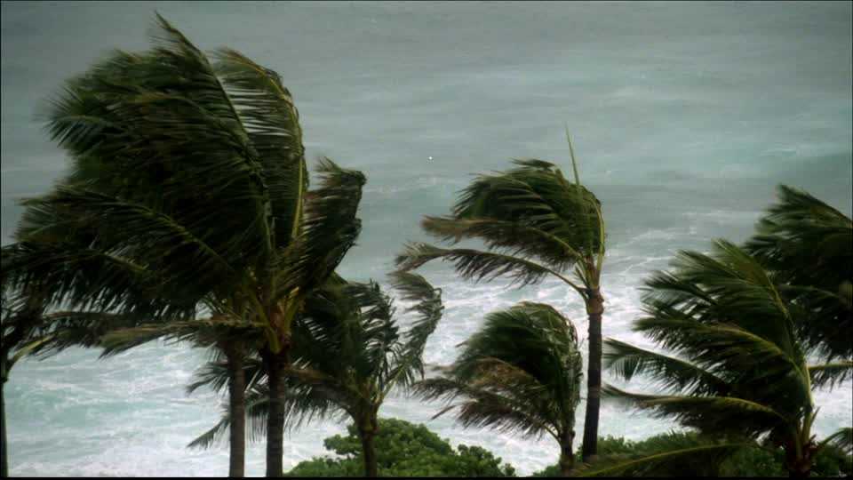 Featured Image 19211