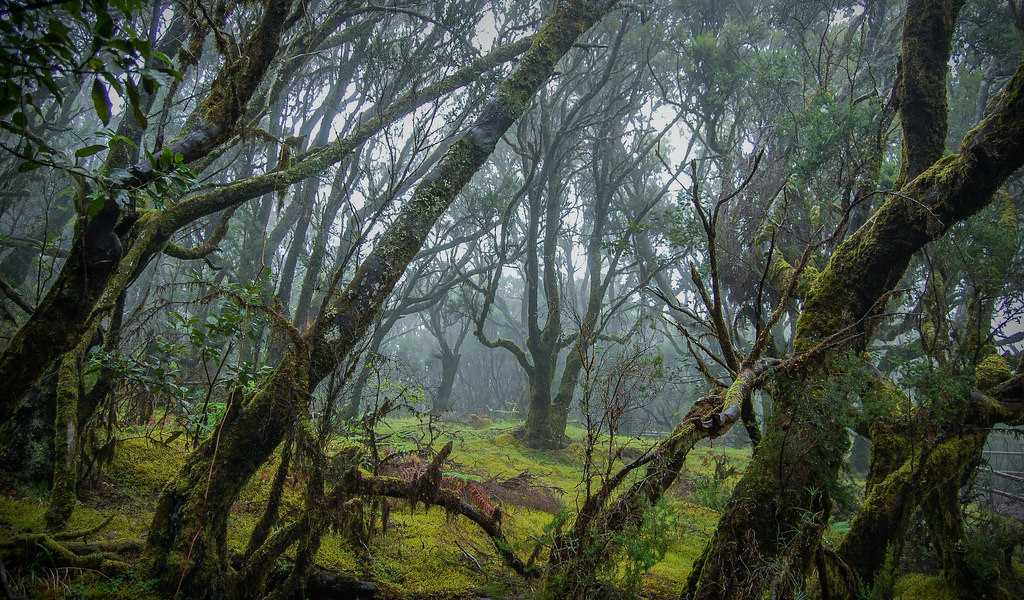 Featured Image 19501