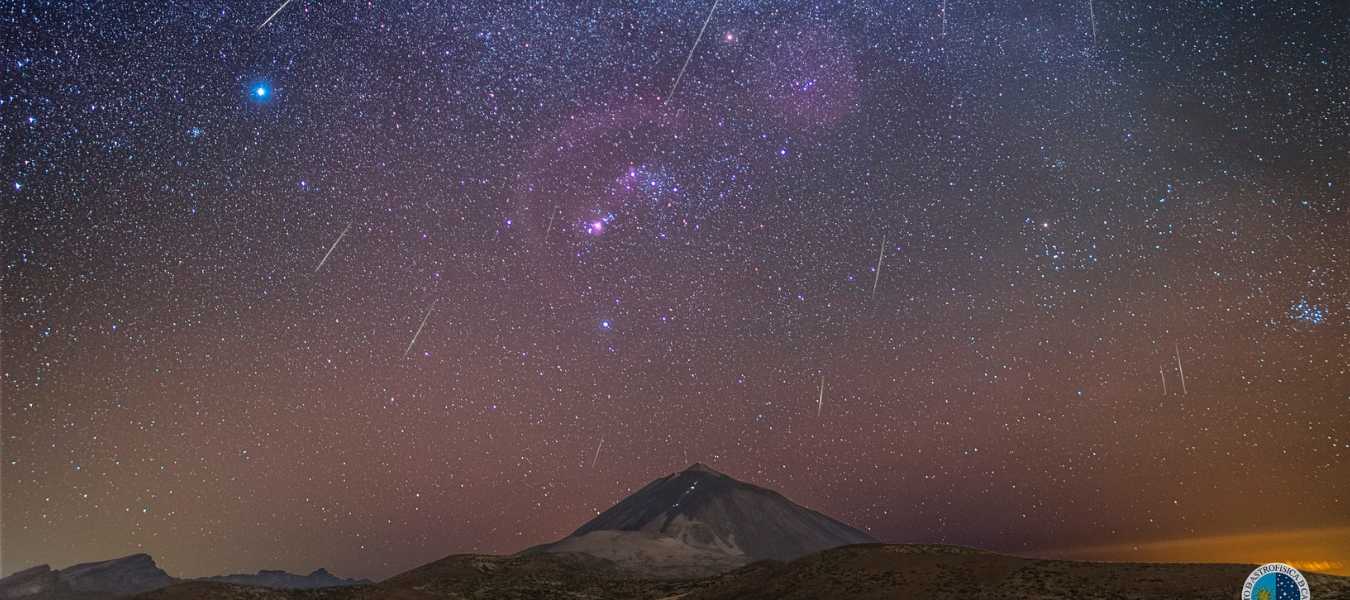 Featured Image 19641