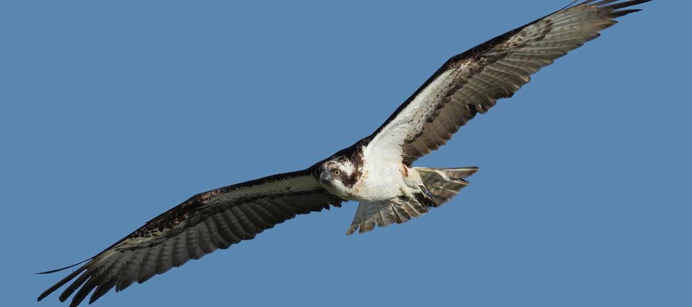 Featured Image 19893