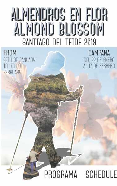 Featured Image 20805