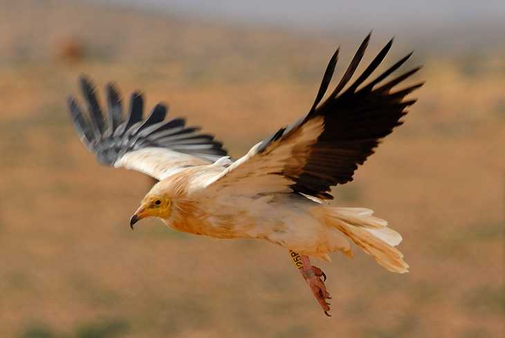 Featured Image 21251